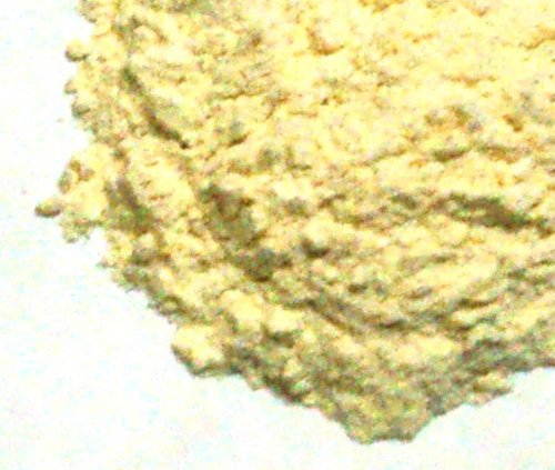 Shark cartilage powder pure - shark,