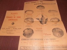 DEPLIANT - AFFICHE POMME DE