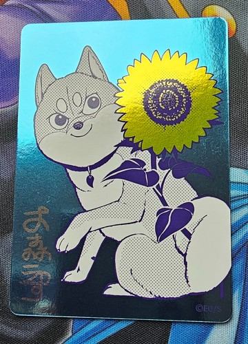 Shueisha official natsucomi - shueisha,