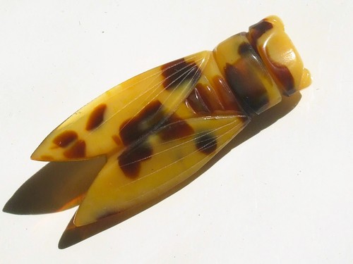 Belle broche cigale panthere - belle,