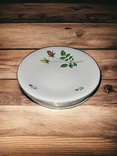Assiettes creuses porcelaine - creuses,