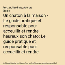 Un chaton à la maison - Le