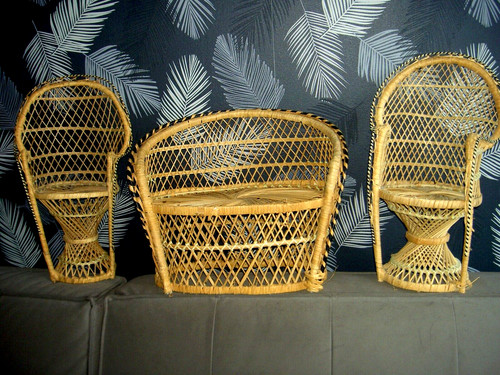 Salon pièces rotin - 3,