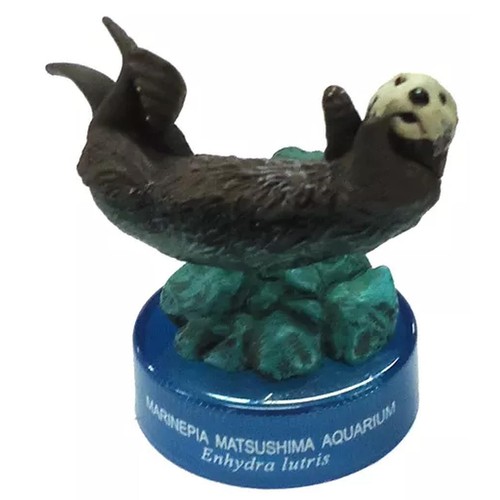 Capsule loutre mer - capsule,