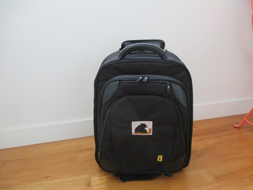 Sac dos voyage en - à, 1