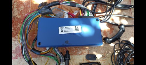 Blue box parrot - parrot, 9100