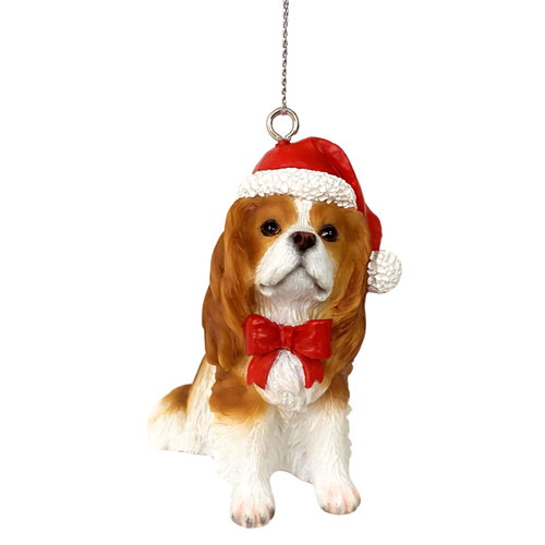 Cavalier king charles spaniel - cavalier,