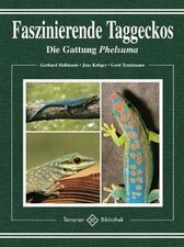 Faszinierende Taggeckos. Die