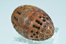 Pretty Carved Corozo Egg Openwork Rosary Box Case 19th Century