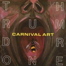 Art du carnaval - drone à
