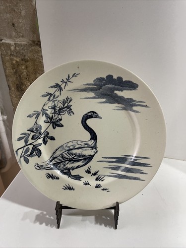 Assiette faïence terre fer - assiette,