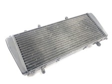 Aprilia RSV 1000 R [2004] -