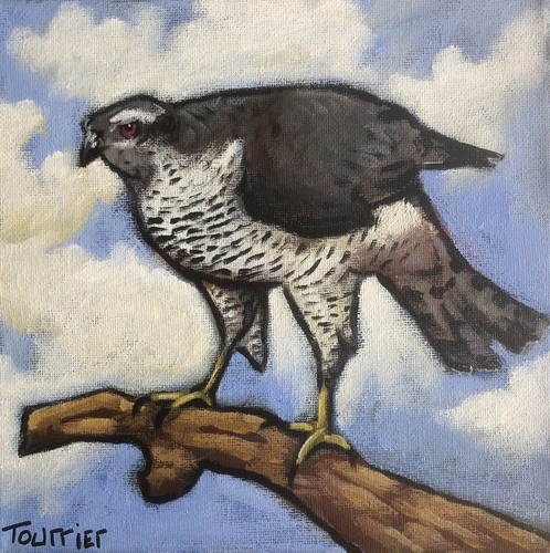 Tableau peinture oiseau - tableau,