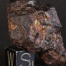 Météorite NWA 15738 de 29,30