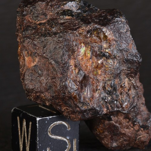 Météorite nwa 15738 - nwa, 29,30