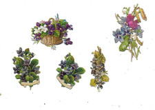 antique chromos flower cutouts purple compositions H. 14 cms au +