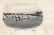 Vichy les vaches à l'abreuvoir  96941