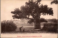 *75657 postcard 02 Bohain - Oak burned by the Spanish in 1636