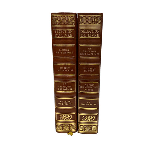 Lot livres sélection du - livres,