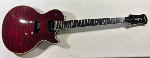 2010 epiphone les - 2010, paul