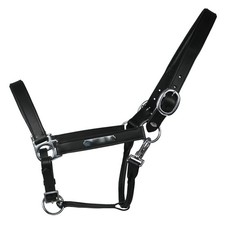 Equest Licol En Cuir Inscrit Pour Chevaux, Doublé - Noir, S - Licol Poney