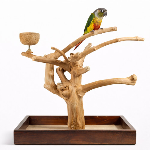 Arbre java avec base pour - avec,