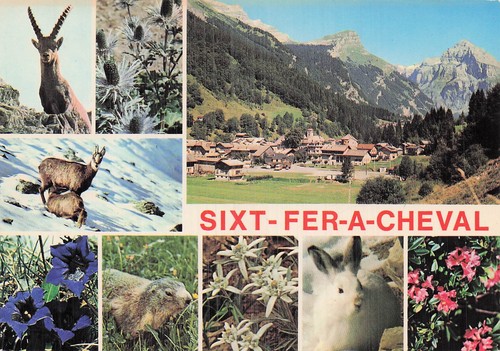 Sixt fer cheval cirque du - fer,