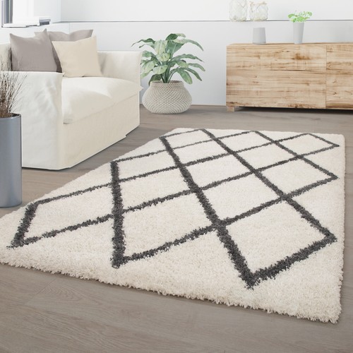 Tapis salon poils - tapis,