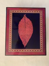 Ancienne Boîte Cave A Cigares