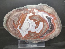 CRIS 33N SUPERBE DEMIE LITHOPHYSE POLIE MASSIF DE L'ESTEREL VAR FRANCE