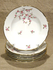 6 assiettes creuses porcelaine