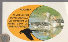 C64. Chasse. ASSOCIATION