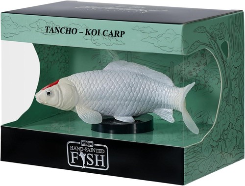 Tancho koi carp - carp, passionné