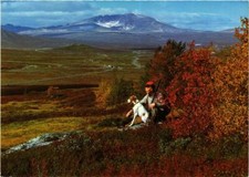 CPM AK Autumn in Dovre
