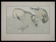 HOKUSAI, CANARDS MANDARINS -
