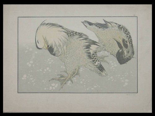 Hokusai canards mandarins - hokusai,,