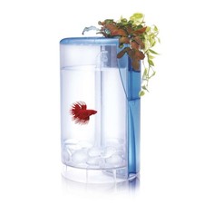 AT620A Kit Betta Flora LED