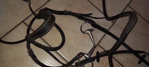 Ensemble bridon licol - ensemble,