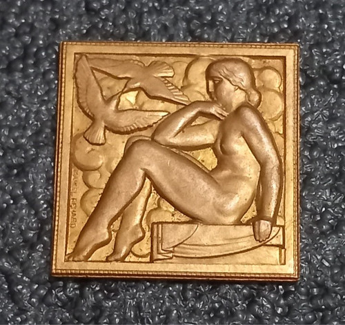Rare médaille plaque - rare,