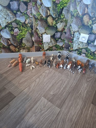 Superbe très grand lot - , 33
