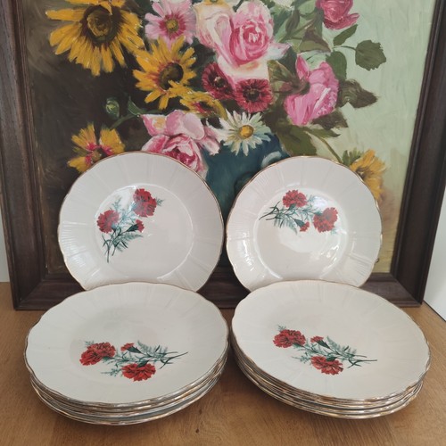 Lot assiettes plates - 12, st