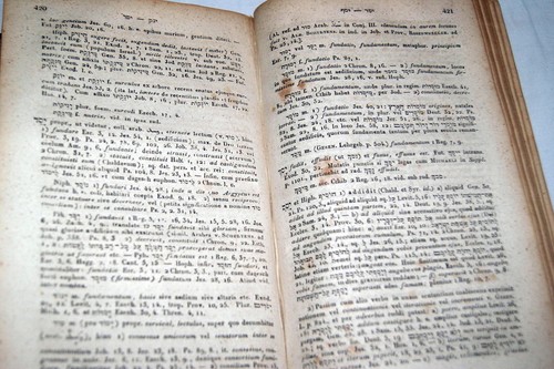Judaica lexicon manuale - judaica,