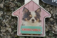 V11 MAGNIFIQUE  PORTE CLE CLES