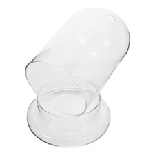  Terrarium de plantes