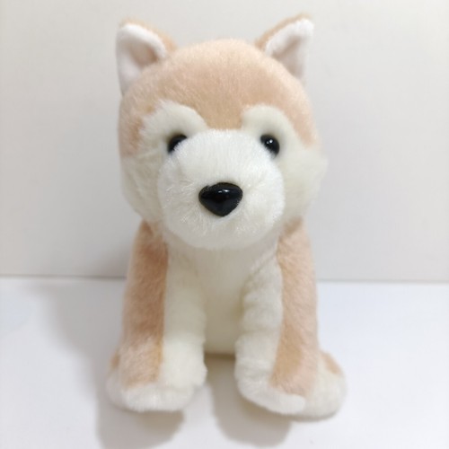 Peluche shiba inu série amuse - shiba,