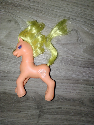 Mon petit poney little - poney,