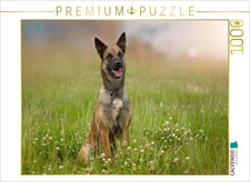 CALVENDO Puzzle Ein Motiv aus