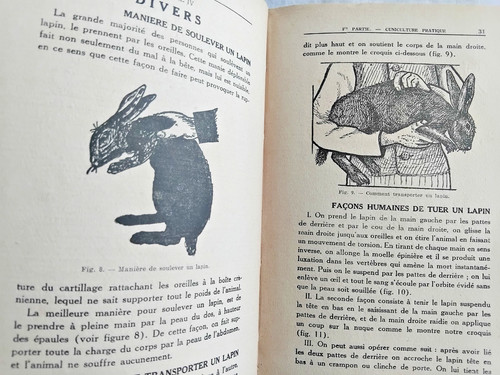 Cuniculture illustree nouveau - illustree,
