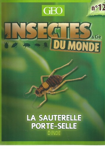 Insectes cie monde - &,