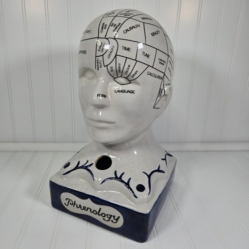 Phrenology bust table head - bust,